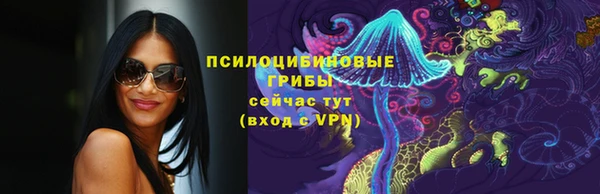 молекула духа Алзамай
