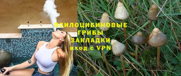 ГАЛЛЮЦИНОГЕННЫЕ ГРИБЫ Сосновоборск