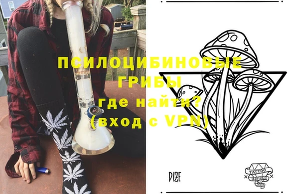 шишки Алексеевка