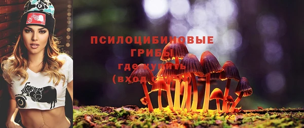 шишки Алексеевка