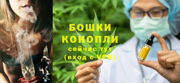 шишки Алексеевка