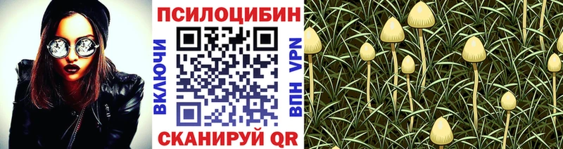Галлюциногенные грибы мицелий продажа наркотиков Бакал